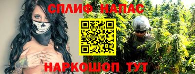 молекула духа Новозыбков
