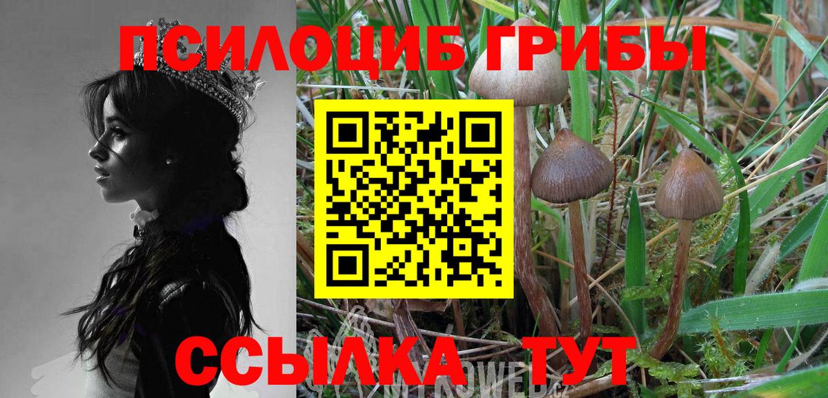 Галлюциногенные грибы Magic Shrooms  Вход с VPN  Трёхгорный 