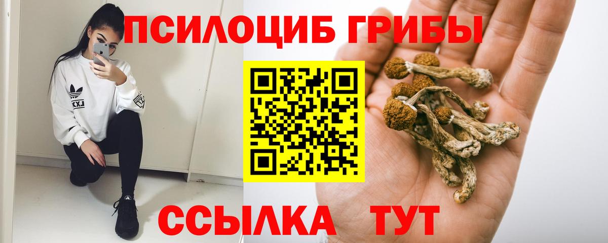 Псилоцибиновые грибы прущие грибы Трёхгорный